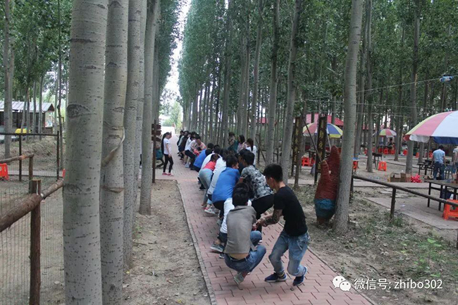 1530263614768408.jpg 2 2.jpg